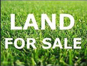 Land For Sale Pavilion Estate Clyde North