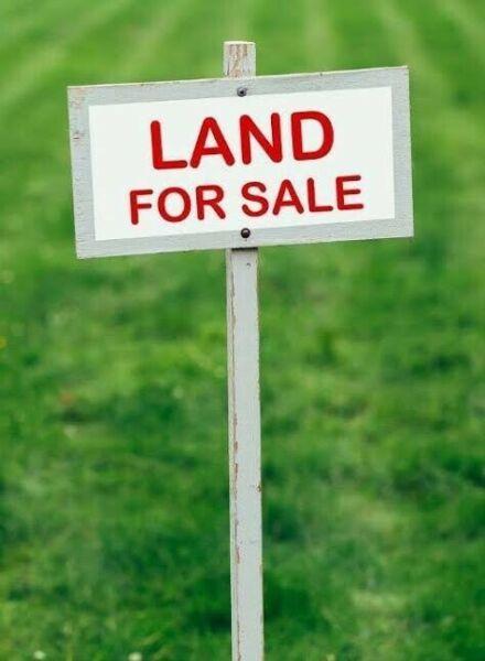 Land for sale in Manor Lake (Lollipop Hill) 448m2