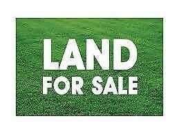 LAND for sale - 12.5 x 32