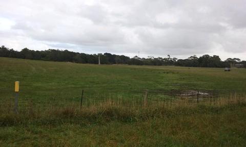 22 ACRES HAWKESDALE