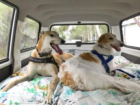 Wanted: Dog friendly place to park Campervan Harrietville/Bright