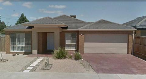 Tarneit For rent - Presentable house in Safe location