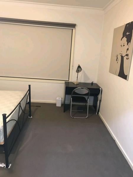 Large Quiet Room with WIR and Ensuite for Rent