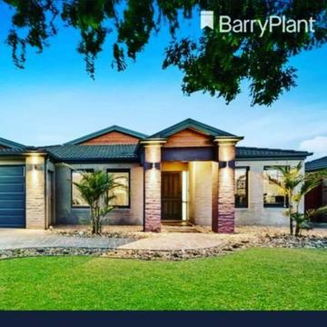 Looking for tenants for a beautiful house in Tarneit