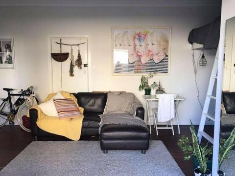 Sunny, renovated Cottesloe studio apartment