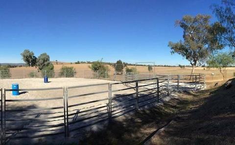 Magnificent Horse and Lifestyle Property on 38 Acres