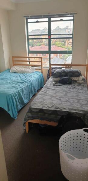 Male/female share rooms in Kingsford $175. per person per week