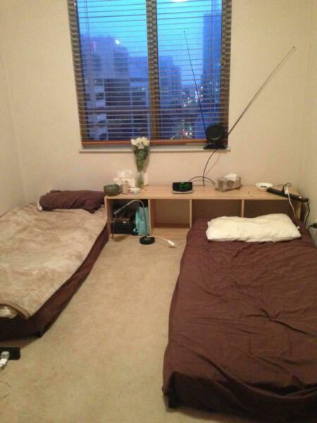 Room for Female sharemate in City apartment - victoria tower