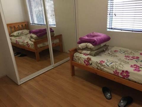 Room to share in Dee why