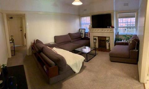 Short Term Rental - Randwick - large 1 bedroom apartment