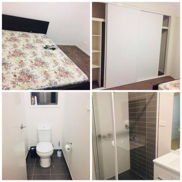 Furnished room for rent in Gungahlin~~$180pw