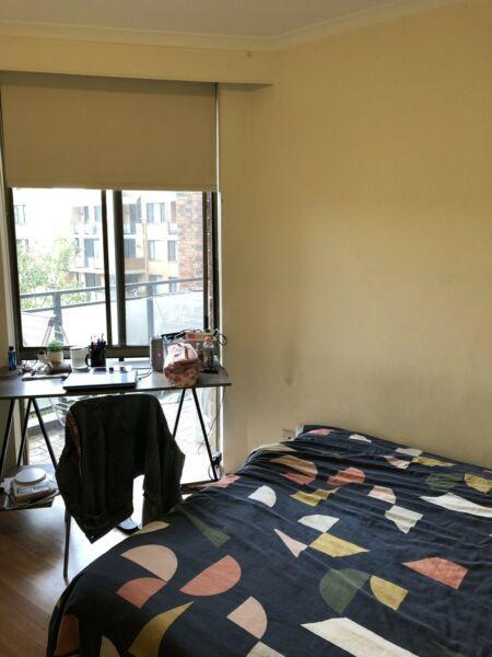 Single room for rent in Redfern