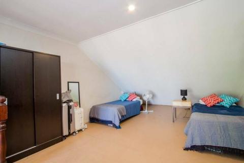 Shared and Private Rooms in Cleveland St, Surry Hills