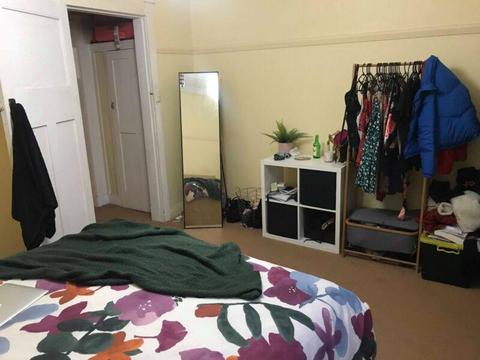 Lovely room for rent in the heart of Randwick