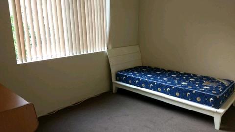 Big Private Singl Room Female only in Dulwich Hill Near Amenities