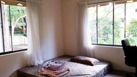 Chatswood large furnished room for rent
