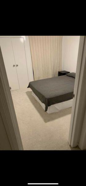 Room for rent SURFERS PARADISE