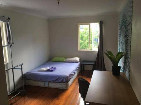 BIG ROOM available in DUTTON PARK close to UQ