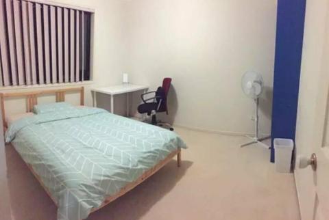 Room near Griffith Uni, Brisbane Technology Park, Female ONLY