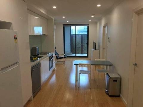 Shared Apartment - Available seperate bedroom bathroom, Burwood
