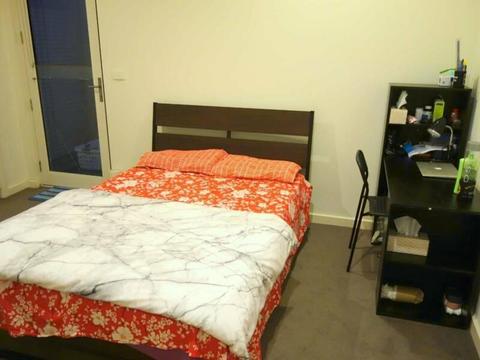 Single Own Large Room Available Now!