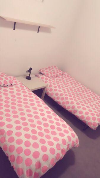 Fully furnished city twin share room for rent