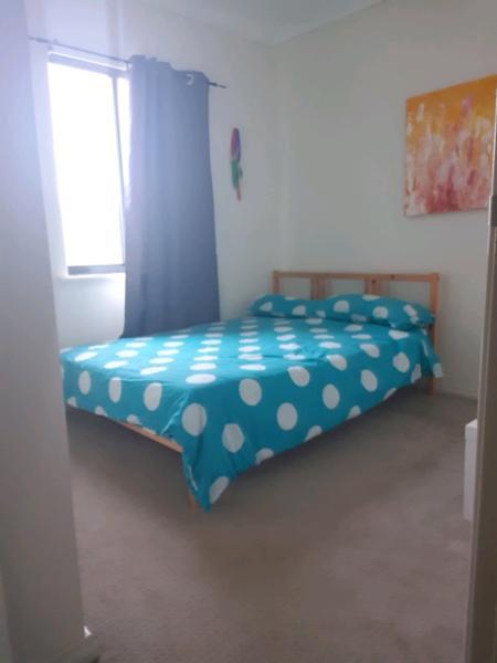 **Room in south freo!!!**