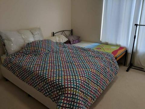 Big room for rent in Canning vale for female