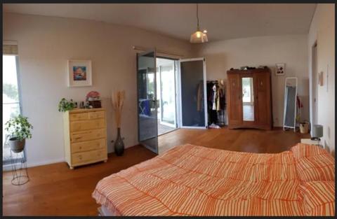 Large room for rent in a gorgeous sharehouse in Freo