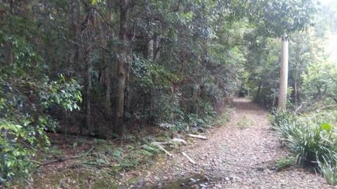 Port macquarie area mountain hideaway. Rainforest and creekvalley