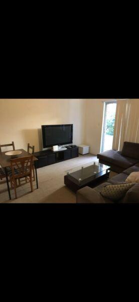 Furnished apartment in Randwick $500