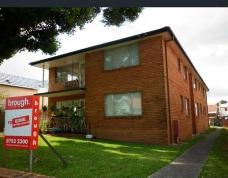 Unit for rent Ashfield 55 Palace text $445 / W