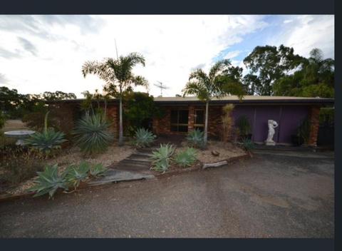 Rent House on 2acres at Gracemere horse room for truck etc