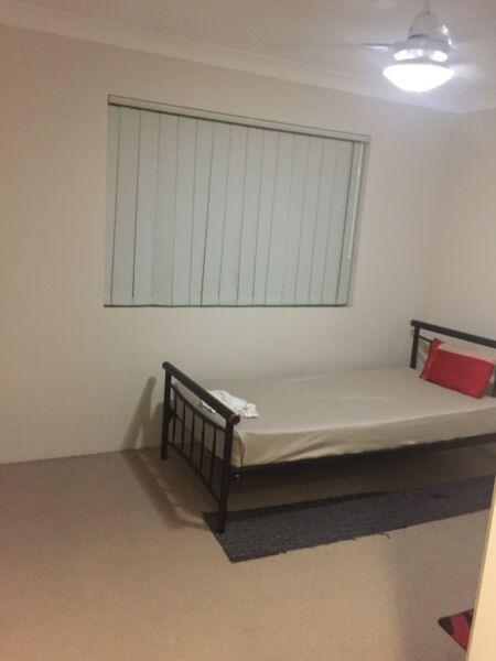 Room for rent Hamilton & ascot