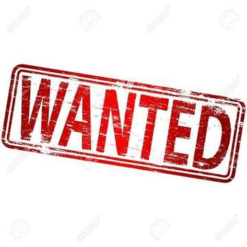 Wanted: Urgently need, rental for a couple
