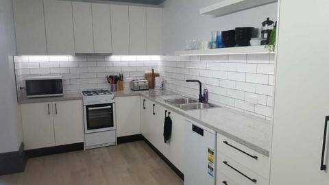Fully-furnished 4-bedroom Apartment for rent - ideal for students!