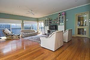 SPACIOUS, LIGHT-FILLED 4 BEDROOM & 2 LOUNGEROOM HOME - YARRAVILLE