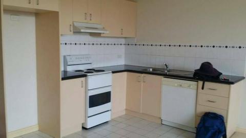 1 bed apartment with carpark for rent