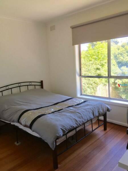 3 rooms for Rent in Heidelberg Central