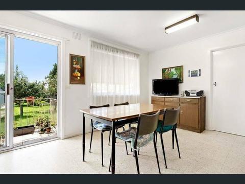 Huge 3 bedroom house for rent in Chadstone