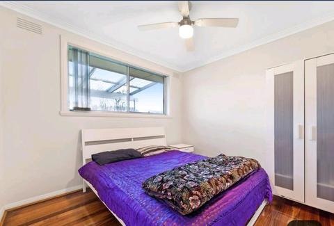 House for rent in Hampton Park, VIC