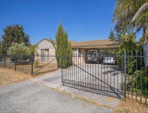 Pet-friendly 4x2 home for RENT in THRONLIE/CANNING VALE