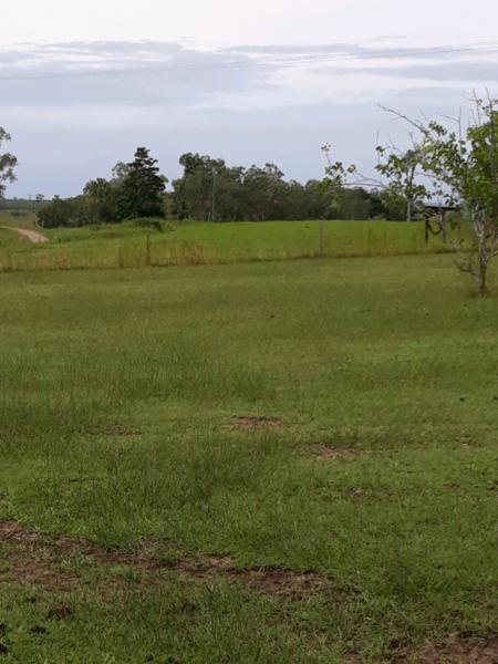 Land for sale in Mount Jukes Seaforth qld