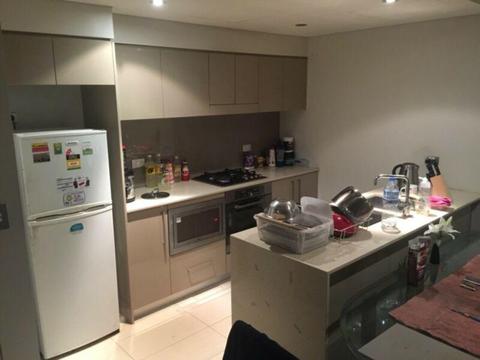 Looking for one male to share room in SYDNEY CBD