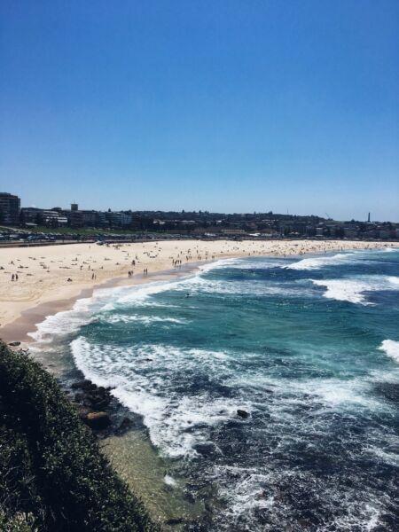 1 or 2 BEDS AVAILABLE IN BONDI BEACH