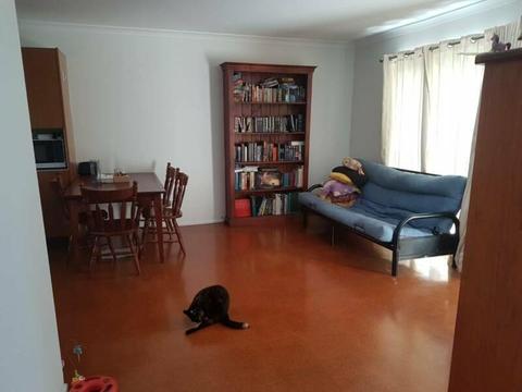 Small Room for Rent in Clayfield