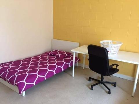 AFFORDABLE Share Room for ONE Female Student SOUTH PLYMPTON