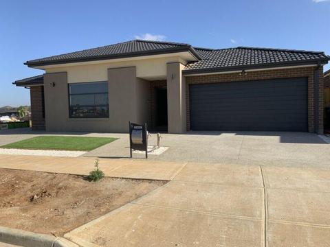 Room for rent in Westbrook Estate (near to Tarneit station)