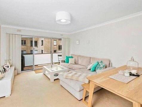 SINGLE ROOM FOR RENT IN COLLAROY