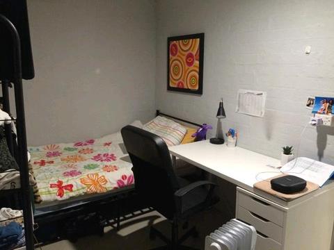 Fully furnished studio apartment for 1 girl short term